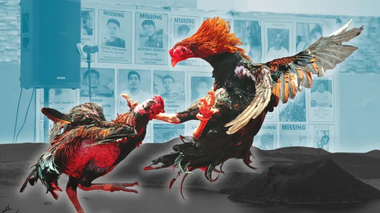 Bí Quyết Chơi Đá Gà Sabong Tại Nohu90 Để Tăng Tỷ Lệ Thắng 2 Bí Quyết Chơi Đá Gà Sabong Tại Nohu90 Để Tăng Tỷ Lệ Thắng