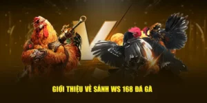 Hướng Dẫn Chơi Đá Gà WS168 Tại Nohu90 Để Thắng Cược Dễ Dàng