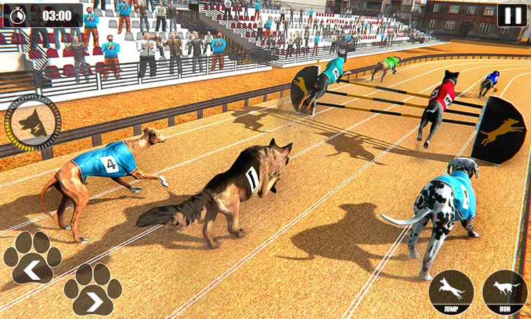 Cách Thắng Lớn Với Game Nhanh Đua Chó Tại Nohu90 Trong Vài Phút 2 Cách Thắng Lớn Với Game Nhanh Đua Chó Tại Nohu90 Trong Vài Phút